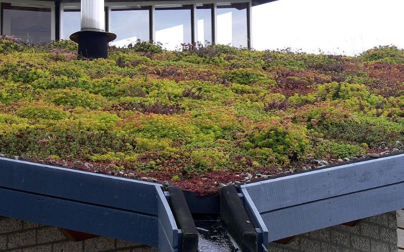 Läggning av tätskikt på låglutande sedumtak. Lindome Annestorp i Göteborg